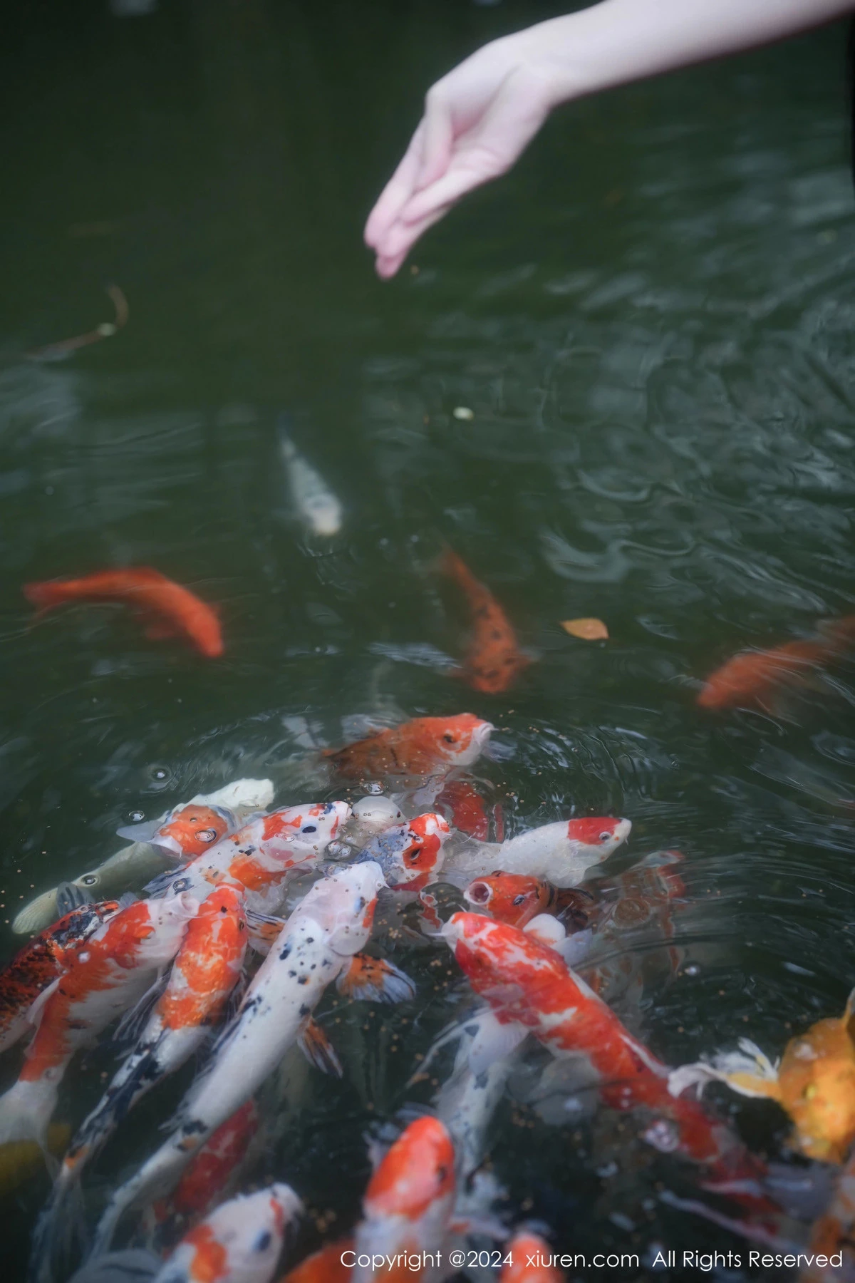 图片[23]-[XiuRen秀人网]第7996期伊雪儿写真-秀人集
