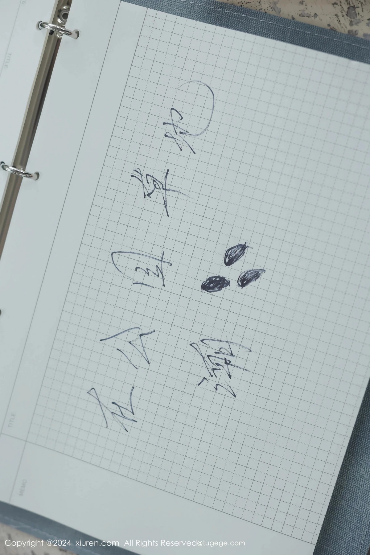 图片[56]-[XiuRen秀人网]第8335期小薯条写真-秀人集
